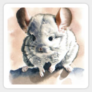 cute chinchilla 6 Sticker